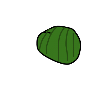 Melon d'eau