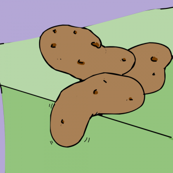 Patate molle