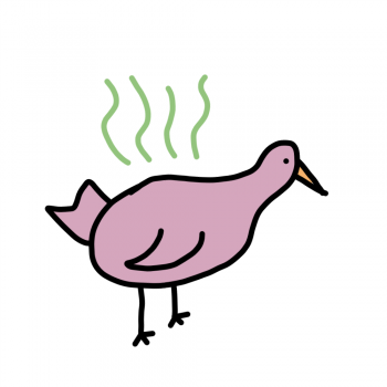 Un oiseau qui pue