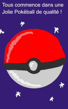 Tous commence dans une Jolie Pokéball de qualité !